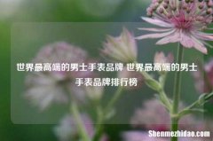 世界较高端的男士手表品牌 世界较高端的男士手表品牌排行榜