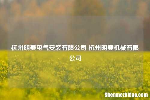 杭州明美电气安装有限公司 杭州明美机械有限公司