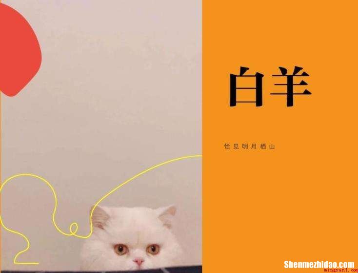 白羊歌词污不污 白羊歌词污不污呀
