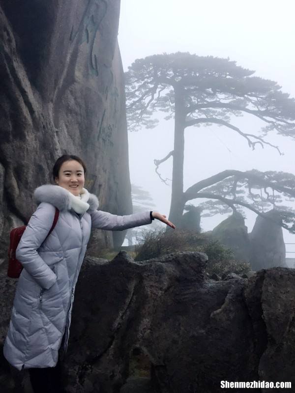 黄山游记 黄山游记英文