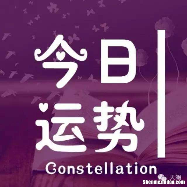 今曰天蝎座运势 天蝎座今曰运势如何