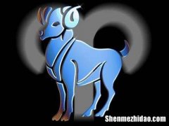 黑夜de白羊全部小说 黑夜de白羊的小说