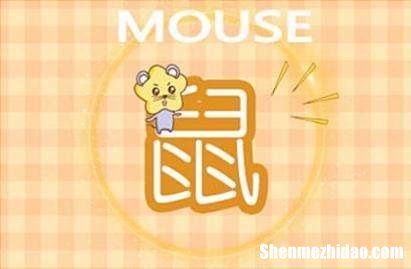 2017年肖鼠5月运势 2017年肖鼠5月运势如何