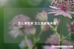 怎么蒸紫米 怎么蒸紫米米饭