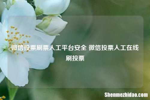 微信投票刷票人工平台安全 微信投票人工在线刷投票