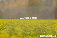 dota2信使天使骡