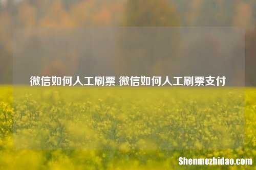 微信如何人工刷票 微信如何人工刷票支付