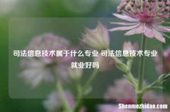 司法信息技术属于什么专业 司法信息技术专业就业好吗