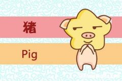 属猪人在2019年的运势 属猪人2019年全年运势及运程