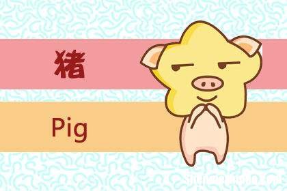 属猪人在2019年的运势 属猪人2019年全年运势及运程