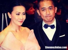 星座不配的明星夫妻 星座不搭却很恩爱的夫妻明星