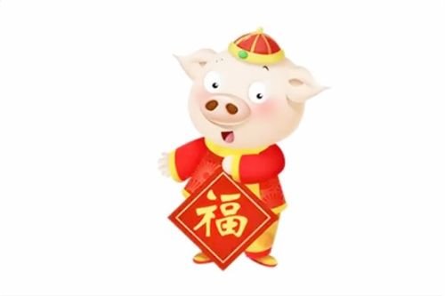 属猪和属鸡运势 属鸡和属猪有财运吗