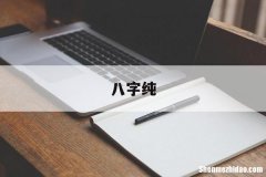 八字纯 八字纯阳的女命