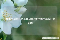 9岁男生适合什么手表品牌 9岁小男生喜欢什么礼物