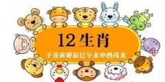 生肖八字时辰配对表大全 生肖时辰对照表 生辰八字
