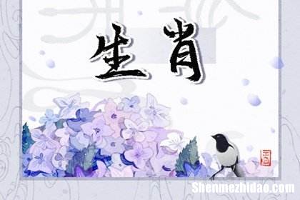 占卜冲兔 冲卯兔什么意思