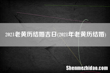 占卜冲兔 冲卯兔什么意思