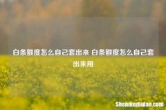 羊小咩额度怎么自己用起来 羊小咩额度怎么自己用起来用