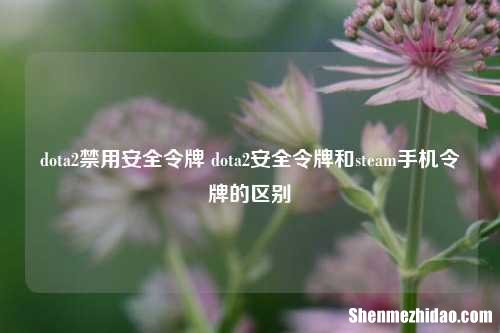 dota2禁用安全令牌 dota2安全令牌和steam手机令牌的区别