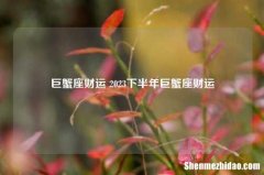 巨蟹座财运 2023下半年巨蟹座财运