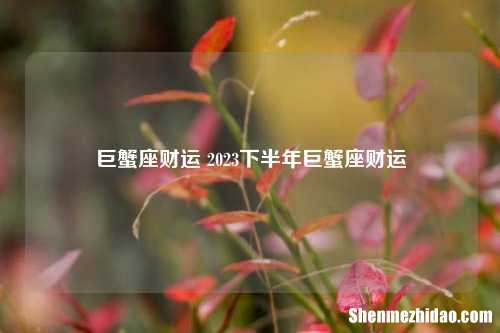 巨蟹座财运 2023下半年巨蟹座财运