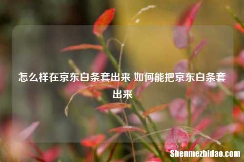 怎么样在平台羊小咩用起来 如何能把平台羊小咩用起来