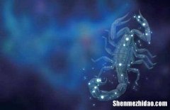 我恨天蝎座有多少人 我恨天蝎座的十大理由