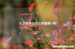 公卫医师分什么时候查15年