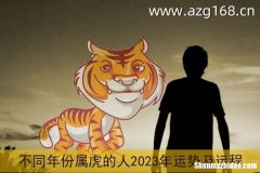 11月属虎运势 属虎的人11月运势