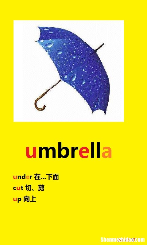 雨伞的拼音怎么 雨伞的拼音怎么说