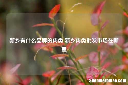 新乡有什么品牌的肉类 新乡肉类批发市场在哪里
