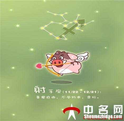 射手座16年运势 射手座2016年运势
