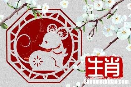 2017年属鼠人每月运势 属鼠2018年运势及运程每月运程