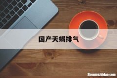 国产天蝎排气 国产天蝎排气区别