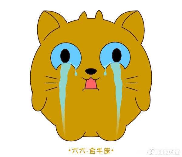 金牛女的心很冷 冷金牛女会怎么样