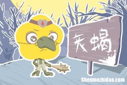 上升天蝎座的男人 上升天蝎座的男人长相