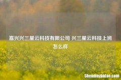 嘉兴兴三星云科技有限公司 兴三星云科技上班怎么样
