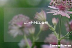 dota2冷冷解说视频