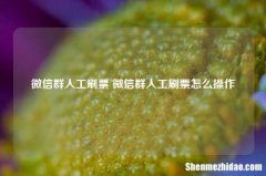 微信群人工刷票 微信群人工刷票怎么操作