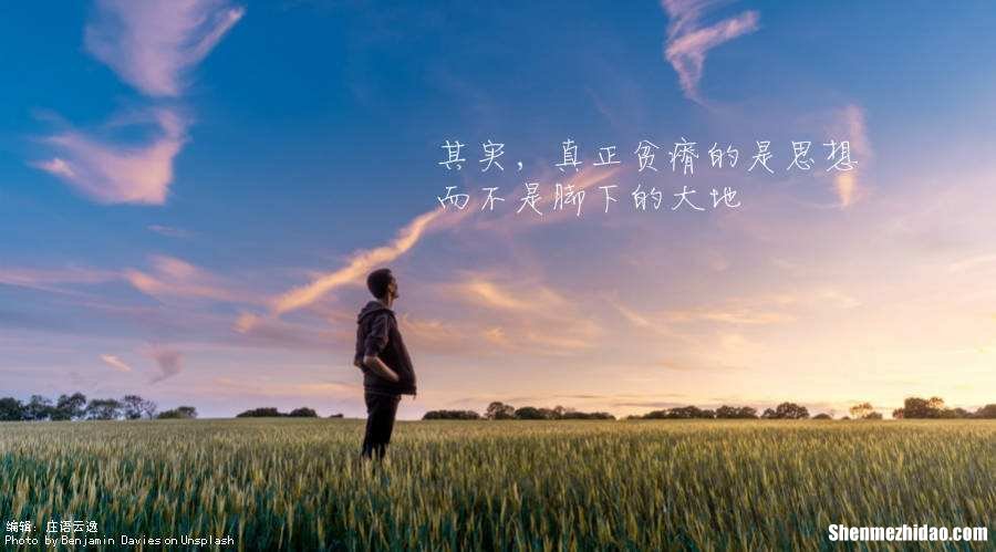 你的理想是什么为什么 你的理想是什么为什么树立这样的理想