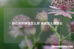自己买的烤盘怎么放 烤盘怎么放进去