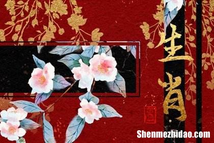 属猴今天麻将运势 属猴今天麻将运势哪个方位较佳