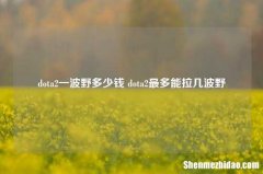 dota2一波野多少钱 dota2较多能拉几波野