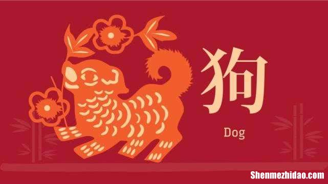 大年初一是什么星座 2002年大年初一是什么星座
