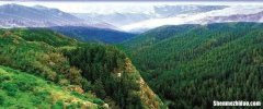 黄山落叶松叶落山黄的下联 黄山落叶松叶落山黄下联是什么