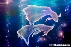 双鱼星座图案 双鱼座的星座图案是什么样子的