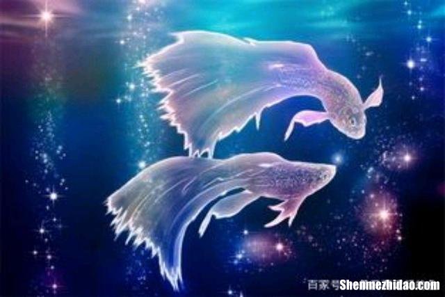 双鱼星座图案 双鱼座的星座图案是什么样子的