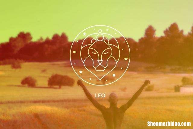 狮子座男生的爱情观 狮子座男生的爱情观陶白白