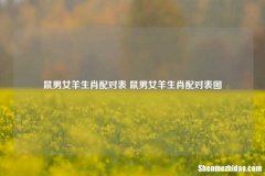 鼠男女羊生肖配对表 鼠男女羊生肖配对表图