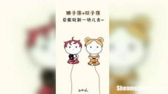 狮子座真爱门槛多高 狮子座的择偶标准是什么